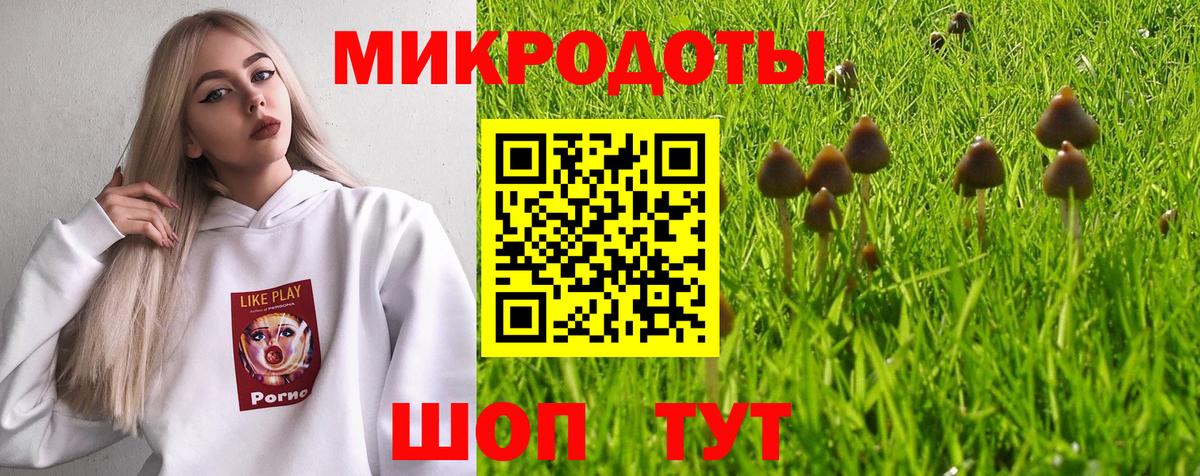 Галлюциногенные грибы Cubensis Владикавказ
