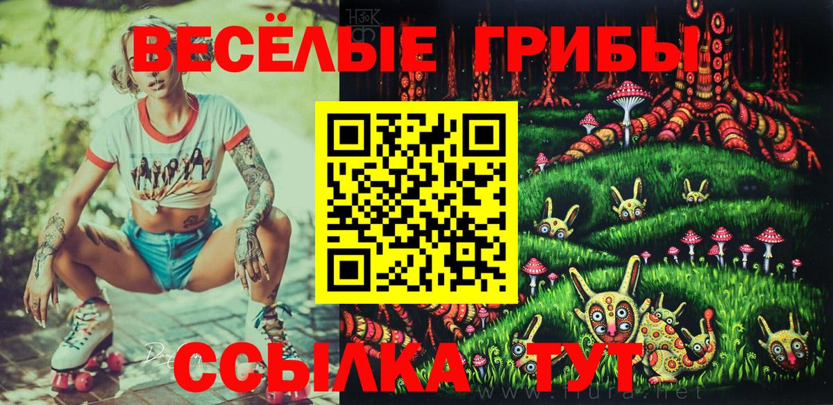 Галлюциногенные грибы мицелий  Вход с VPN  Псилоцибиновые грибы Psilocybe  Владикавказ 